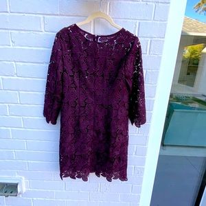 Ann Taylor lace Dress with tags